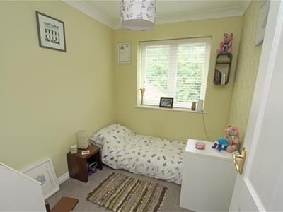Picture 13